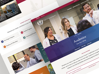 LLU Academics ui ux web design