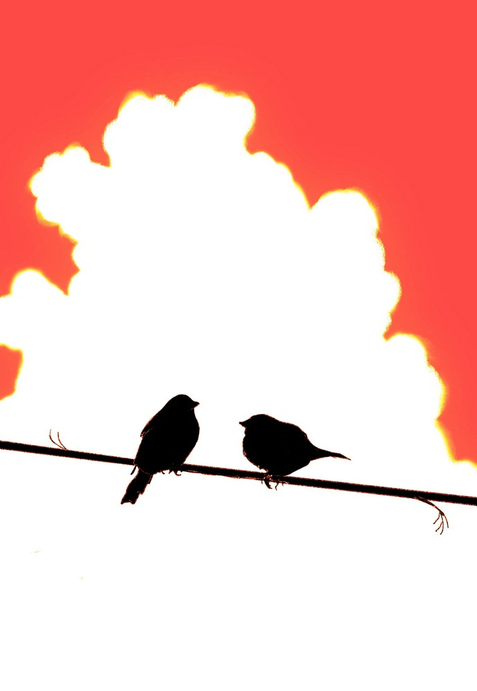 birds on a wire print