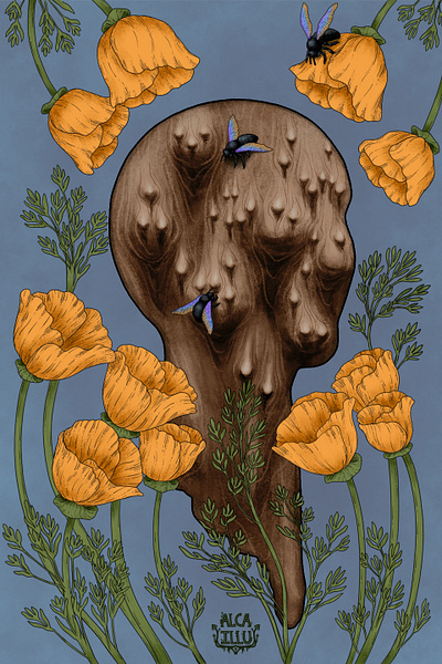 Carpenter Bees & California Poppies Illustration animals botanical bugs floral illustration insects nature surrealism wood