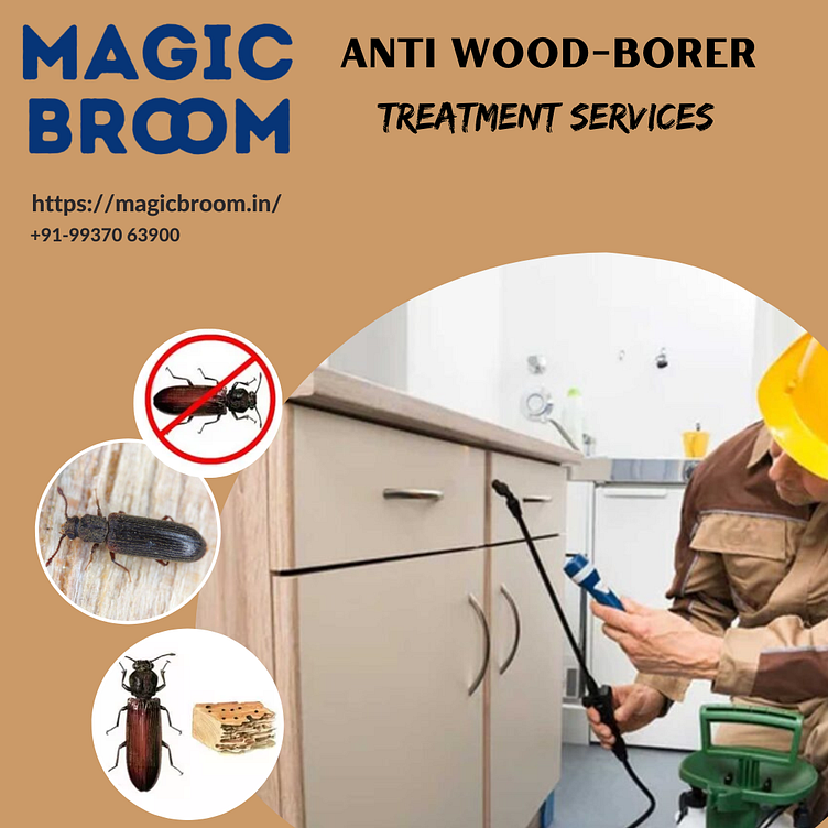 Anti WoodBorer Treatment Services by Magic broom on Dribbble