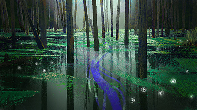 Magic lake animation graphic design illustration motion graphics