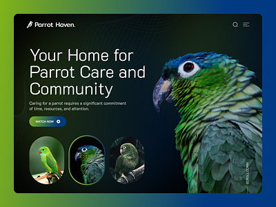 Parrot Haven. by NETULR on Dribbble