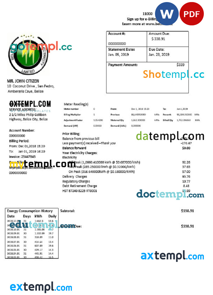 Belize Electricity Limited electricity utility bill template by