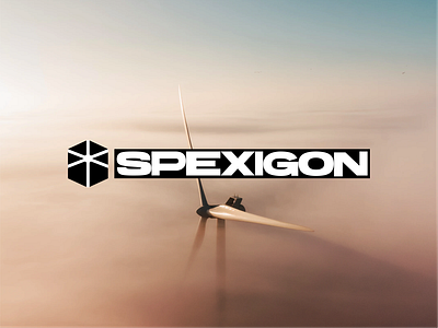 Spexigon: Logo Animation anim animation branding identity logo logotype minimal motion