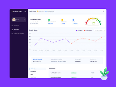 Your Credit Profile design financial dashboards futuristic minimalistic ux webdesign