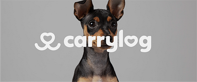 Carrylog - Pet Logistics brand identity branding cute design dog graphic design logo pet redesign visual identity
