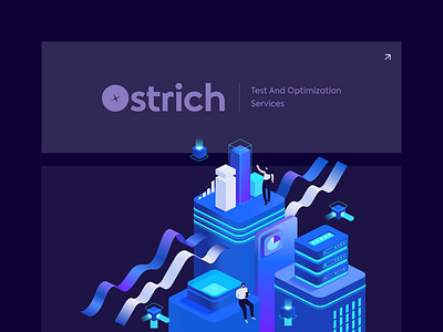 Ostrich Branding Design - Startup