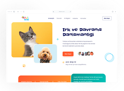 Elit Yavru Interface Design animal website app design pet website ui ux web design