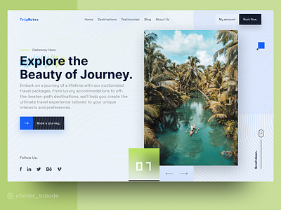 TripMates design paradise travel trip ui website