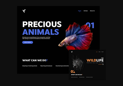 FLAFE WEBSITE DESIGN animal animation blue branding dark graphic design landingpage minimal modern orange ui webdesign