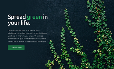 Hero section nature, soft crop design typography ui ux web design web development