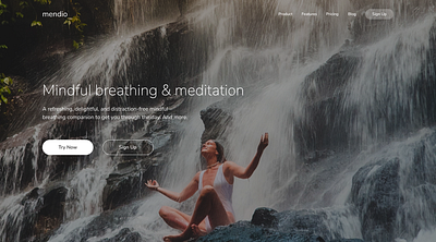 Hero section mendio meditation design ui ux web design web development