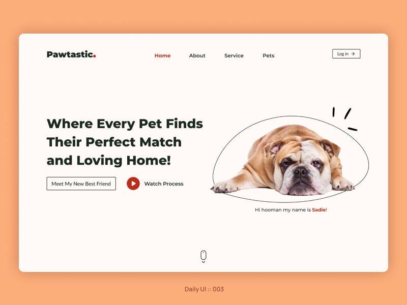 Day 003 #DailyUI dailyui design landing page ui ux