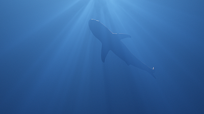 Shark Bait 3d 3d animation 3dscene animation blender caustics illustration inspiration marinelife shark underwater wayofwater