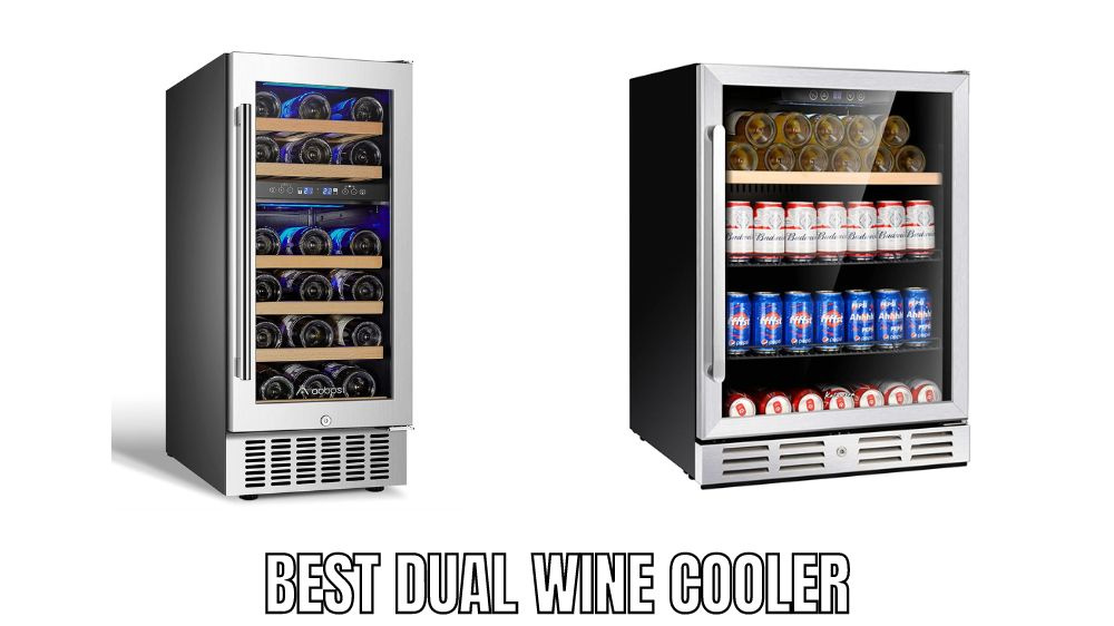 Top 10 Best Dual Wine Cooler Reviews in 2023 by Alfredospizza Online on