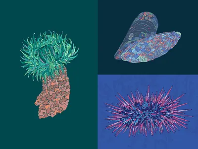 Rocky Shore (Biomechanical) abstract biomechanical california mussel color theory colors graphic illustration illustration metal ocean ocean creature sea anemone sea creature sea urchin spikes stickers vector water