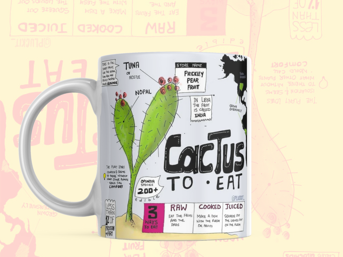 Krazi Kaktus ! branding cartoon doodle handdrawn marketing