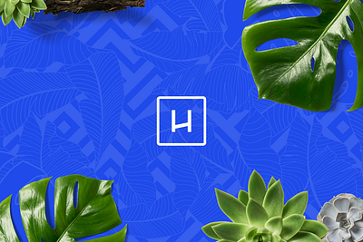 hyperCREW agency - Logo, Branding branding design graphic design logo rebranding socialmedia