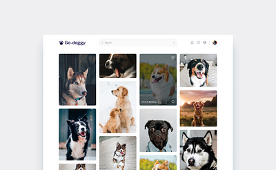 Pet Store Website dog website e commerce website ecommerce pet pet website puppy webdesign website