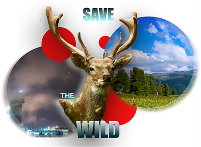 Educational Project: Poster " Save the Wild" educational graphic design poster