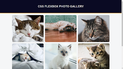 Photo Gallery Project app cat css cute flexbox gallery gemoy html photo web