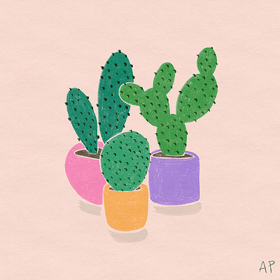 Cacti illustration