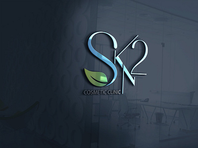 SKN2 branding charte graphique design graphic design illustration logo ux vector
