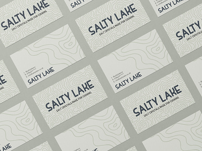 Salty Lake branding design graphic design illustration logo typography vector