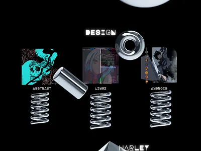 Developer Portfolio branding graphic design ui