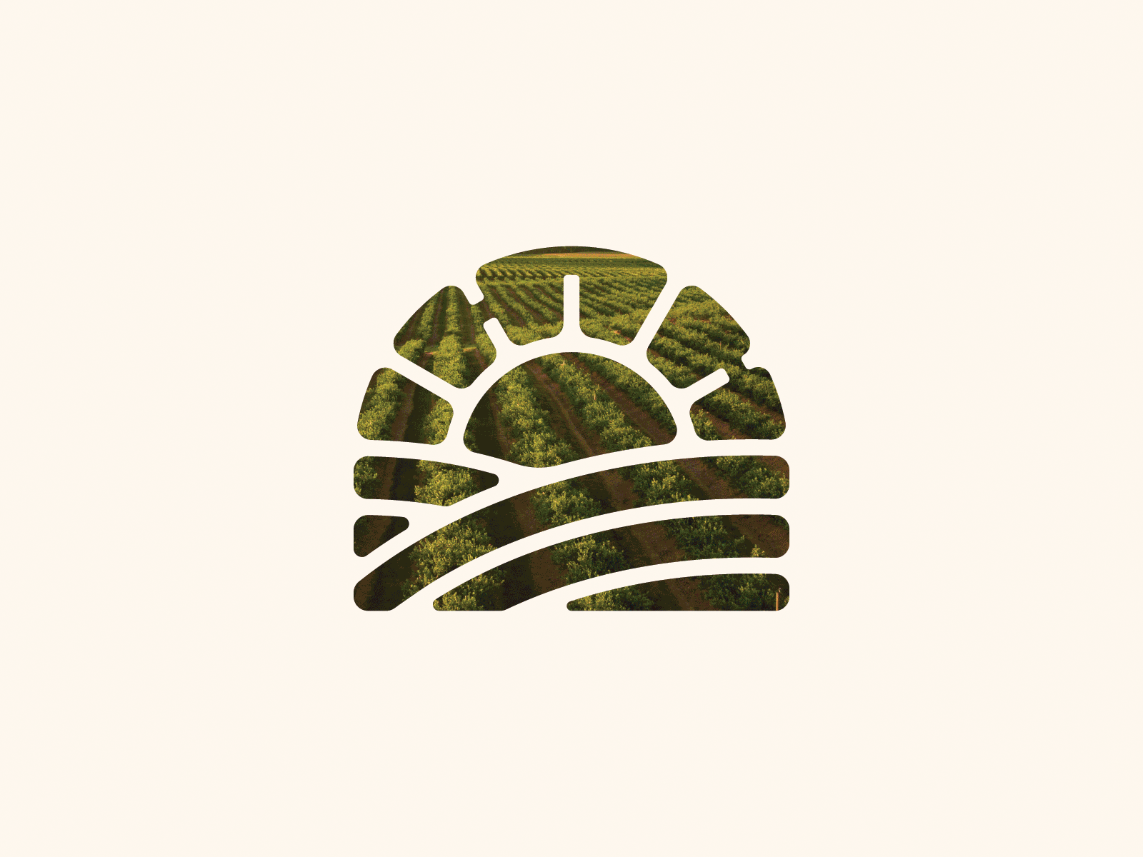 Agriculture Brand Mark 1 colour ag agricultural agriculture badge barn brand branding crest emblem farm fields geometric line work logo modern patch simple sun wheat