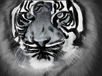 Digital Painting design digtal art graphic design illustration painting