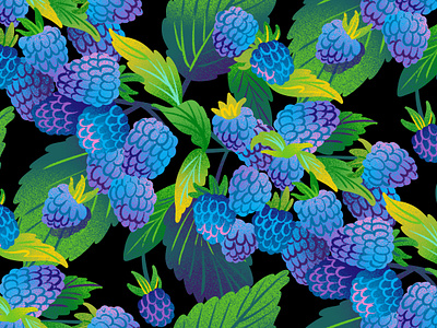 Blue Raspberry - Alt black background blackberry blue raspberry drawing flavor cue flavor illustration foliage food food illustration fruit fruit illustration illustration jordan kay noise pattern design plant raspberry surface pattern texture