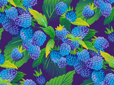 Blue Raspberry - Alt Purple Background blackberry blue raspberry drawing foliage food food illustration fruit fruit illustration illustration jordan kay pattern plant illustration raspberry surface design surface pattern texture