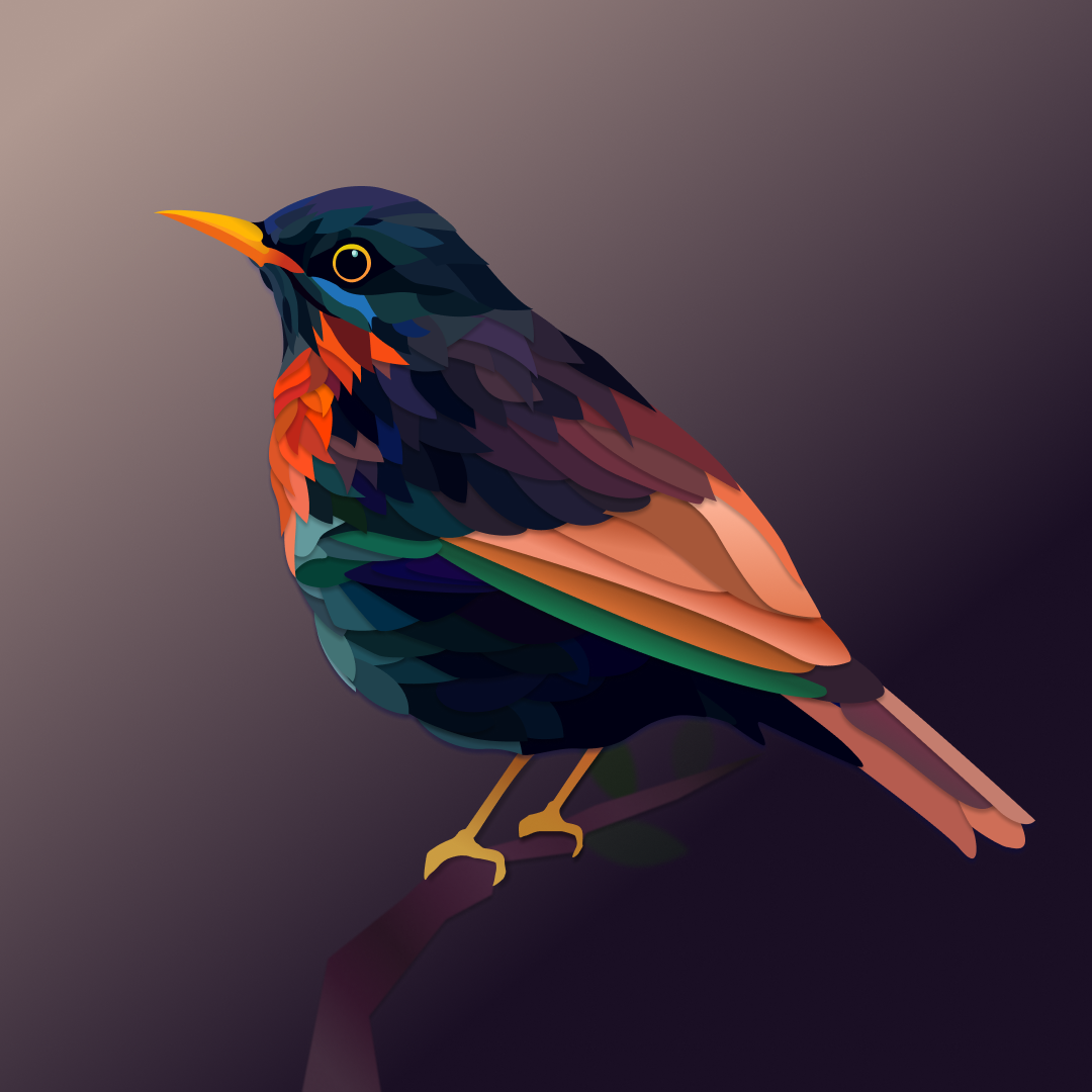 bird app branding design graphic design illustration logo typography ui ux vector