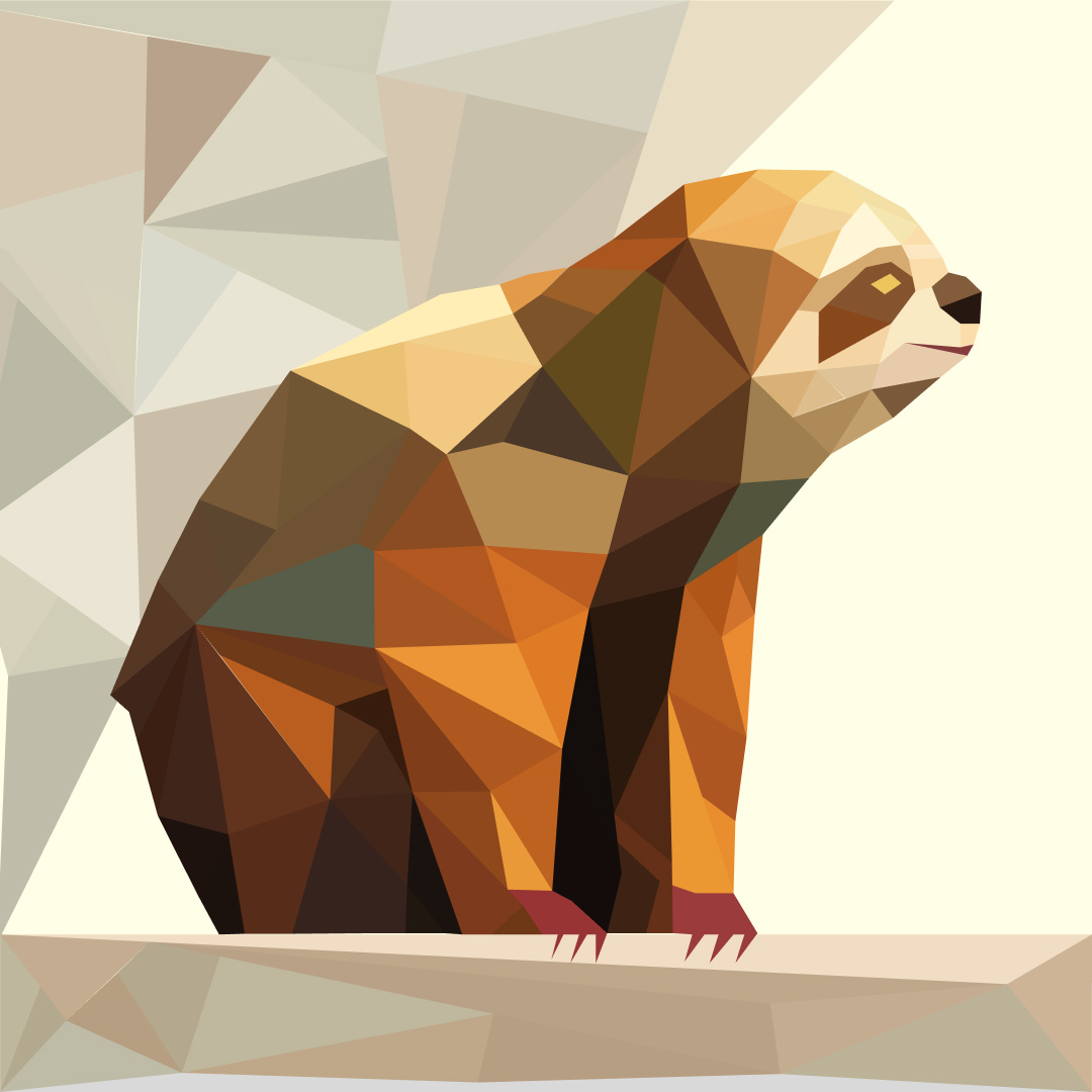 sloth design graphic design illustration typography ui ux vector