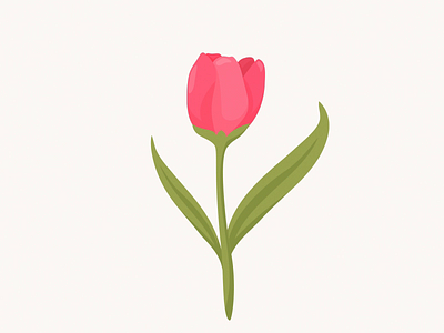 ​Happy Women's Day animation 2d animation design graphic design motion graphics