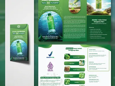 Brochure Three fold - Redesign branding design graphic design illustration typography