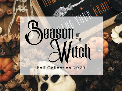Season of the Witch Collection design graphic design halloween home decor illustration product design