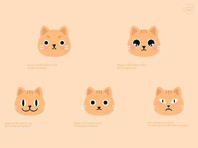 Cat animal cat cute illustration orange cat
