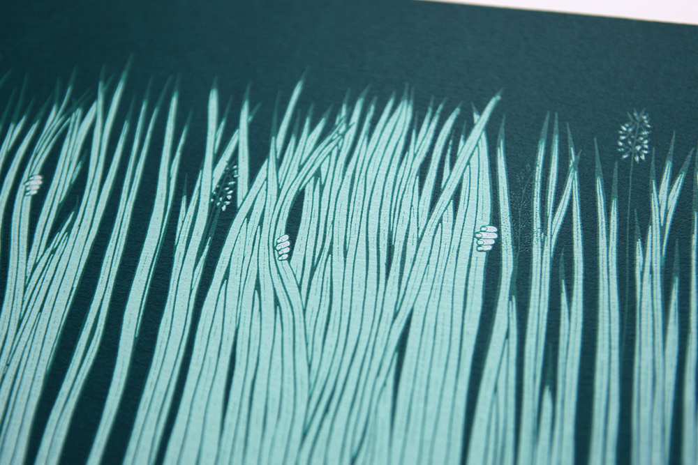 Phytology art prints bethnal green hand drawn hand printed hand pulled illustration medicinal nature nature illustration phytology screen prints