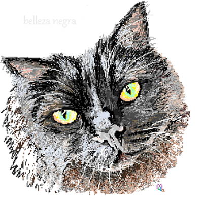 gato domestico pixelado design dibujo dr drawing illustration paint