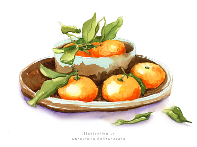 Watercolor Mandarins in a bowl advertisement food fresh fruits hand drawn illustration juicy magazine vibrant watercolor