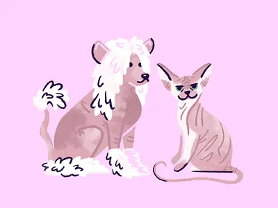 Poorly Drawn Pets 1/4 animal animal shelter cat dog drawing illustration pet pet portrait portrait