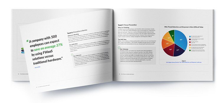 The 10 Tenets of an Effective SASE eBook by Stephen Gehring on Dribbble