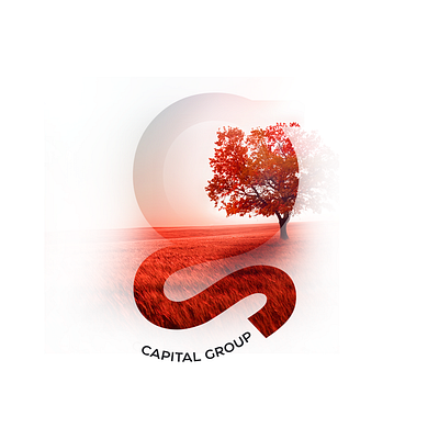 Groow Capital Group branding graphic design identity logo typography