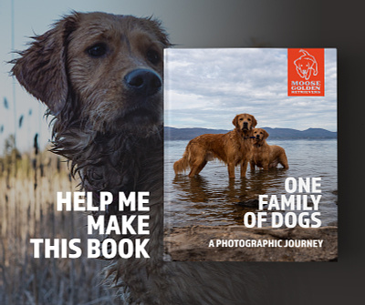Dog Photo Book on Kickstarter book dog golden retriever graphic design kickstarter