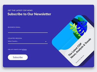 cdp.com Newsletter Subscription Web Component cdp.com design illustration layout ui web