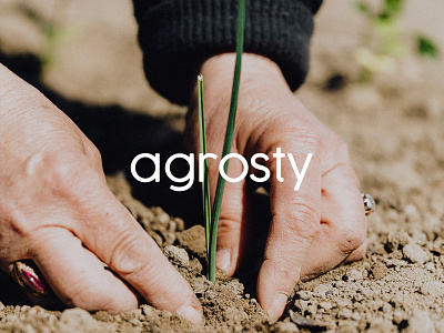 Agrosty - Identity Rebrand branding creative design graphic design ui