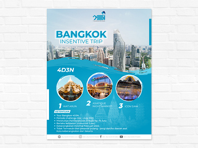 DSI Promo banner ads brochure design design graphic design layout promo banner