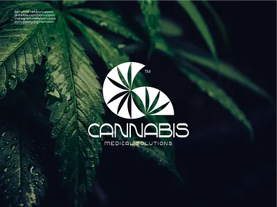 Cannabis Logo Design brand design branding cannabis logo design design illustration initial logo logo logodesign logomaker modern logo ui vector